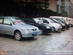綠化道變經營地，宜賓翠柏大道的“后臺”之謎